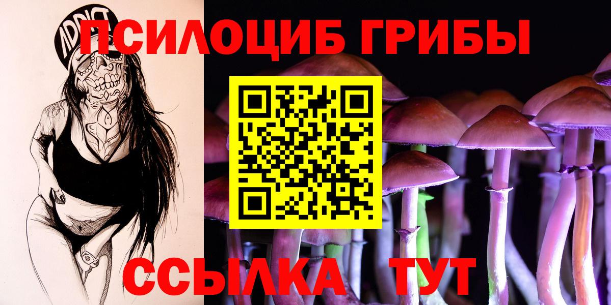 купить наркоту  Псилоцибиновые грибы мухоморы  Вход с VPN  Карпинск  Псилоцибиновые грибы ЛСД 